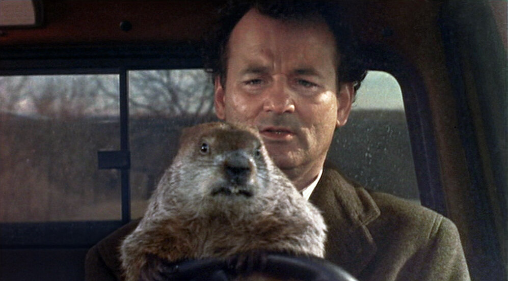 31ah-groundhogday-movies-superJumbo.jpg