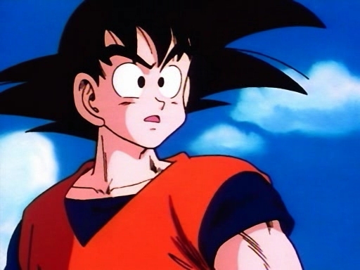 goku-goku-10305037-512-384.jpg