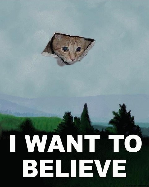 I%2BWant%2Bto%2BBelieve_Ceiling%2BCat.jpg