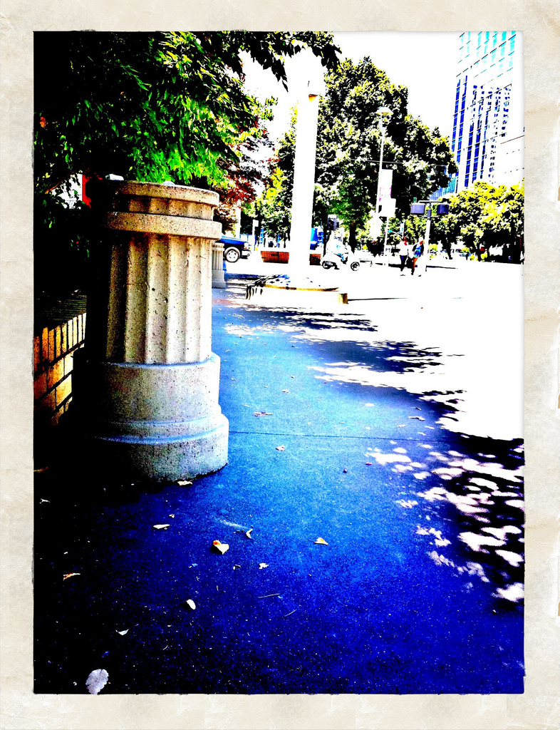 4841367515_98a97e4916_b.jpg