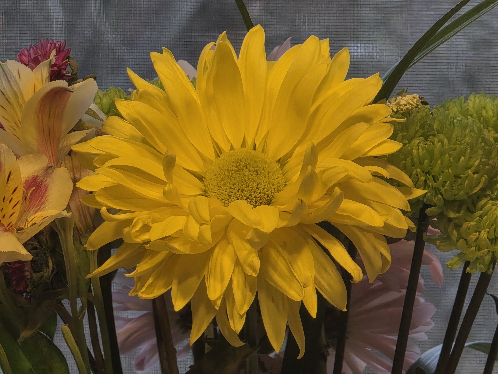 16c7dc09c8185bf00f51059e6bdd112f.jpg