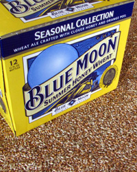 BLUEMOONSUMMERHONEY12PK.jpg