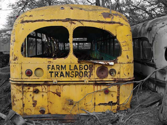 farmbus.jpg