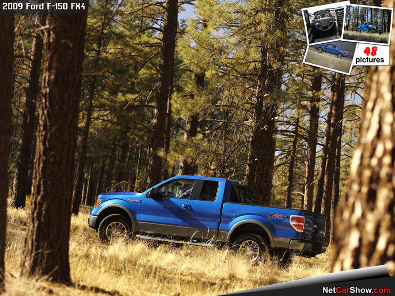 Ford-F-150_FX4_2009_800x600_wallpaper_15.jpg