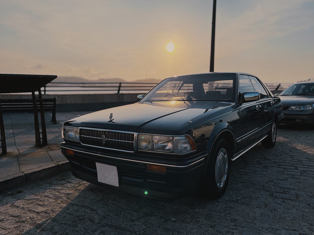 51240409563_48389df54c_b.jpg