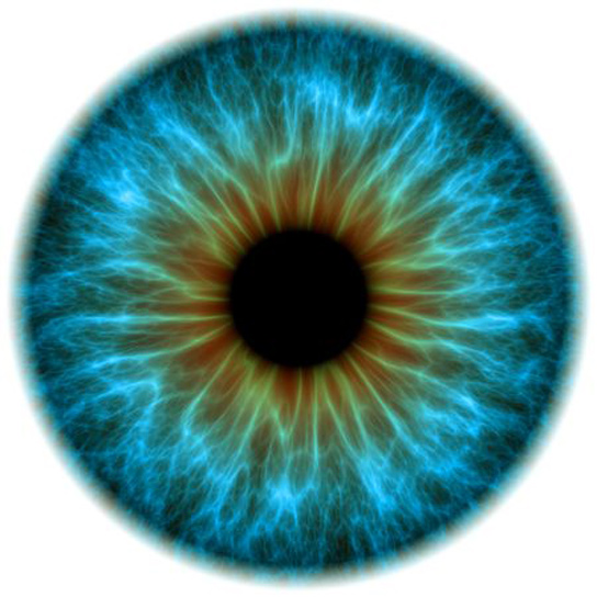 scitechdaily.com