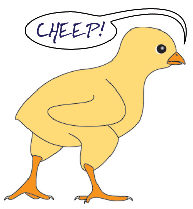 cheep.jpg