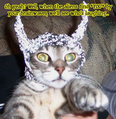 tinfoilhat_fark.jpg