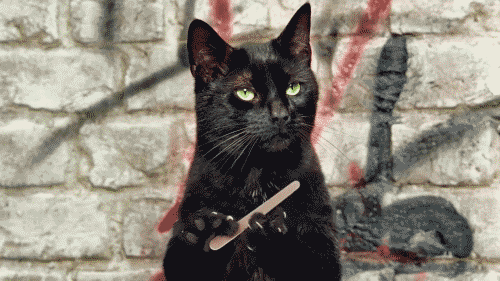 tumblr_lsdh2z6ORb1qmrlovo1_500.gif