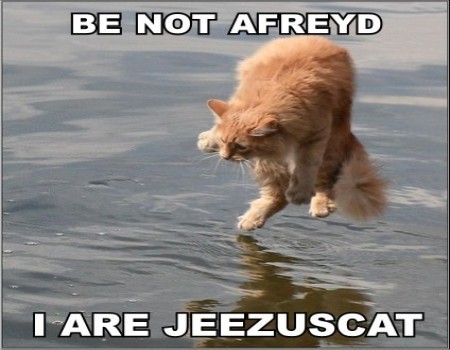 lolcatsdotcom6rfzyrg2hq73u3rt.jpg