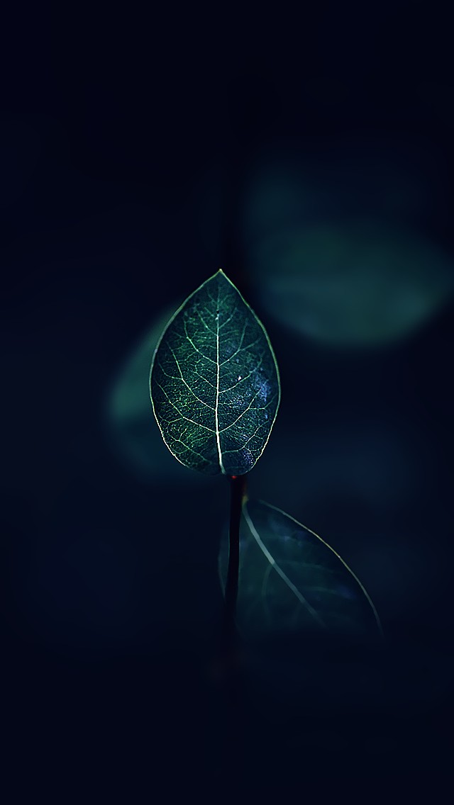 xw07.png
