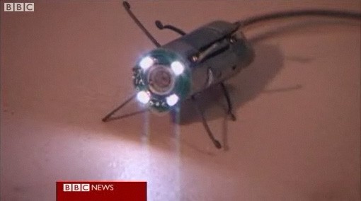12oct09_spiderpill.jpg