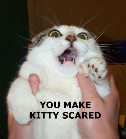 You%20Make%20Kitty%20Scared.jpg