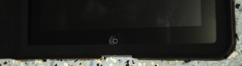 dsc1345d.jpg