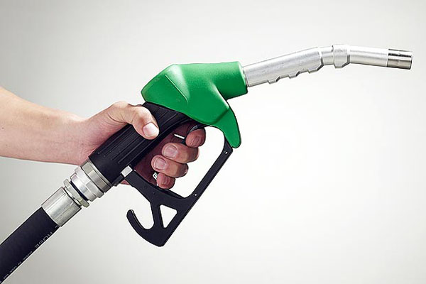 Petrol-nozzle-in-hand.jpg