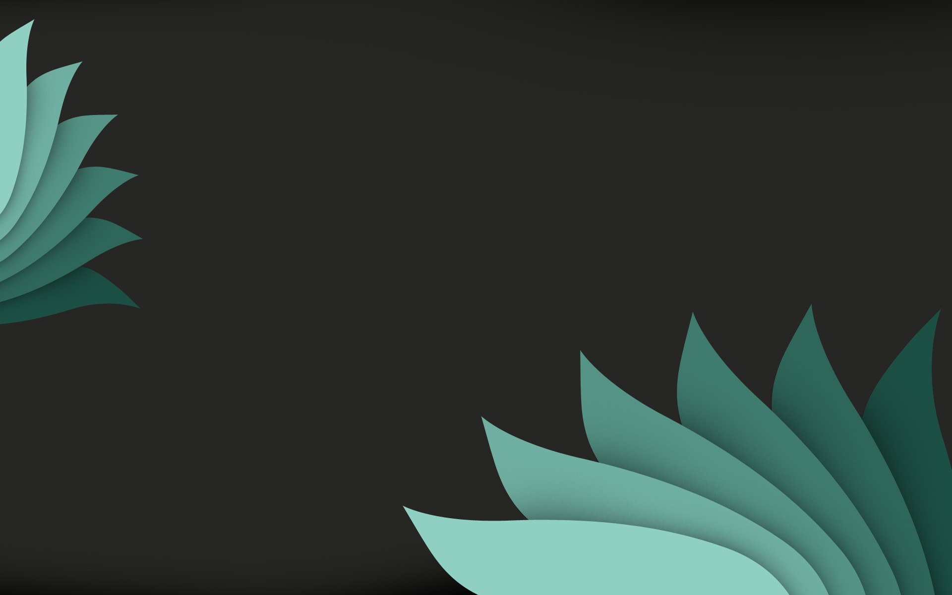 wallpaper-859225.jpg