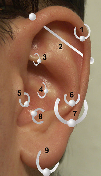 345px-Earrings.jpg