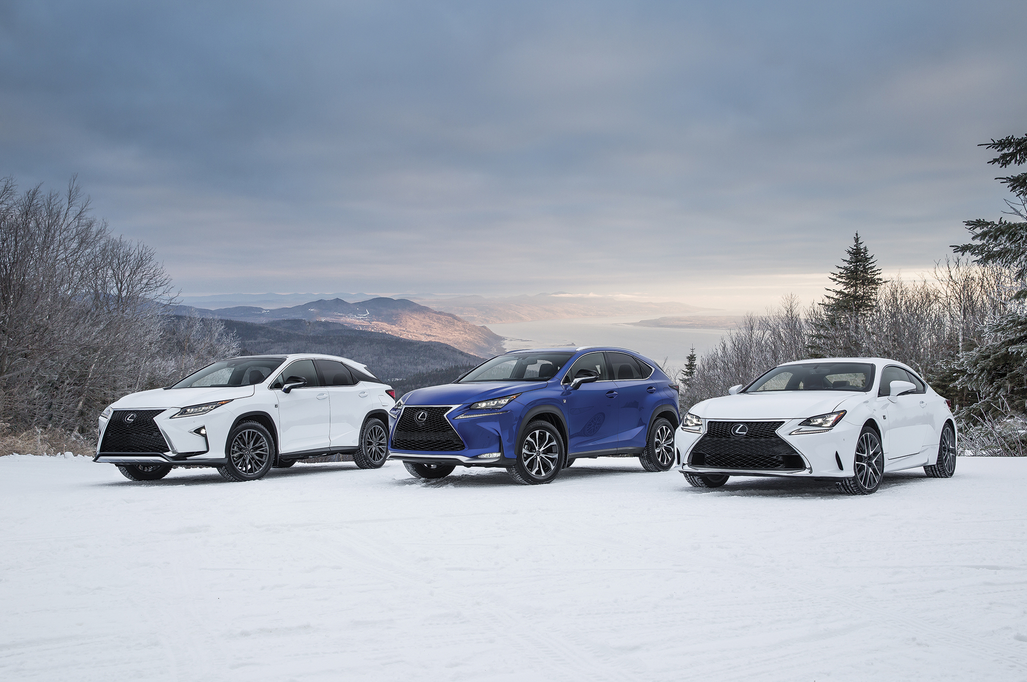 Lexus-AWD-4.jpg