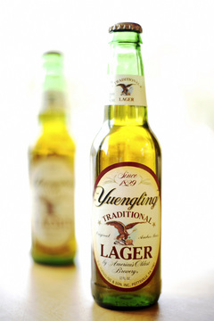 medium_yuengling.jpg