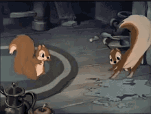 8077a960e5848273487aeabe2517ea06.gif