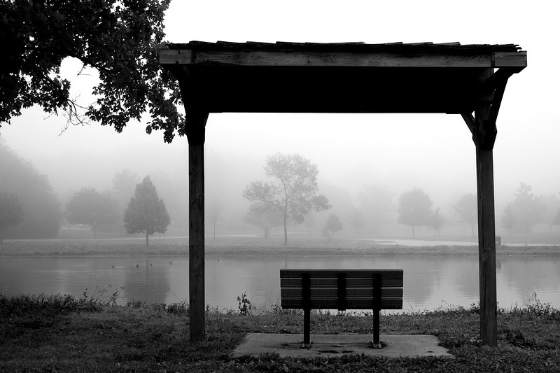 benchfog-vi.jpg