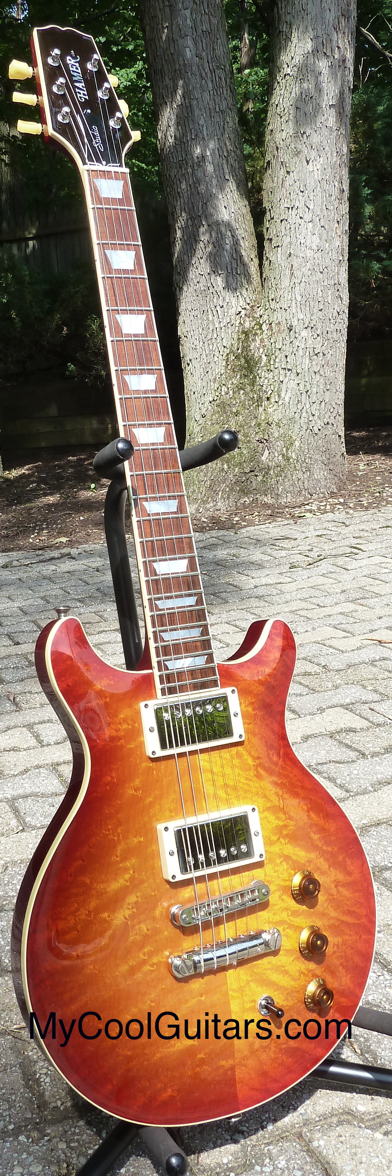 Hamer-USA-Studio-Custom.jpg