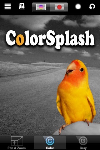 colorsplash-logo-1.jpg