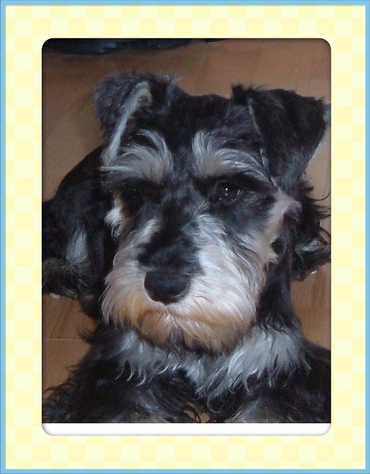 murphy%20framed.JPG