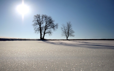 frozen-pond.jpg