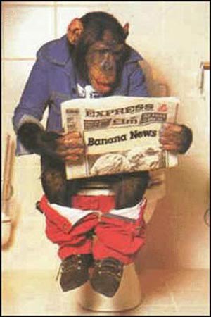 retard-monkey.jpg
