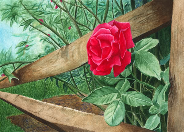 rosewatercolor_forweb.jpg