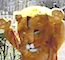 celebration.png