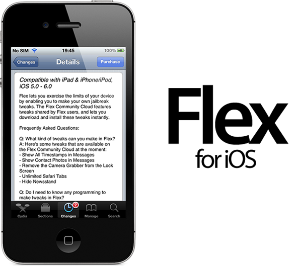 Flex1.png