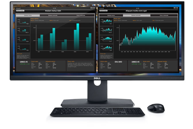 dell-u2913wm-overview1.jpg