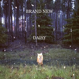 BrandNew-Daisy-1.jpg