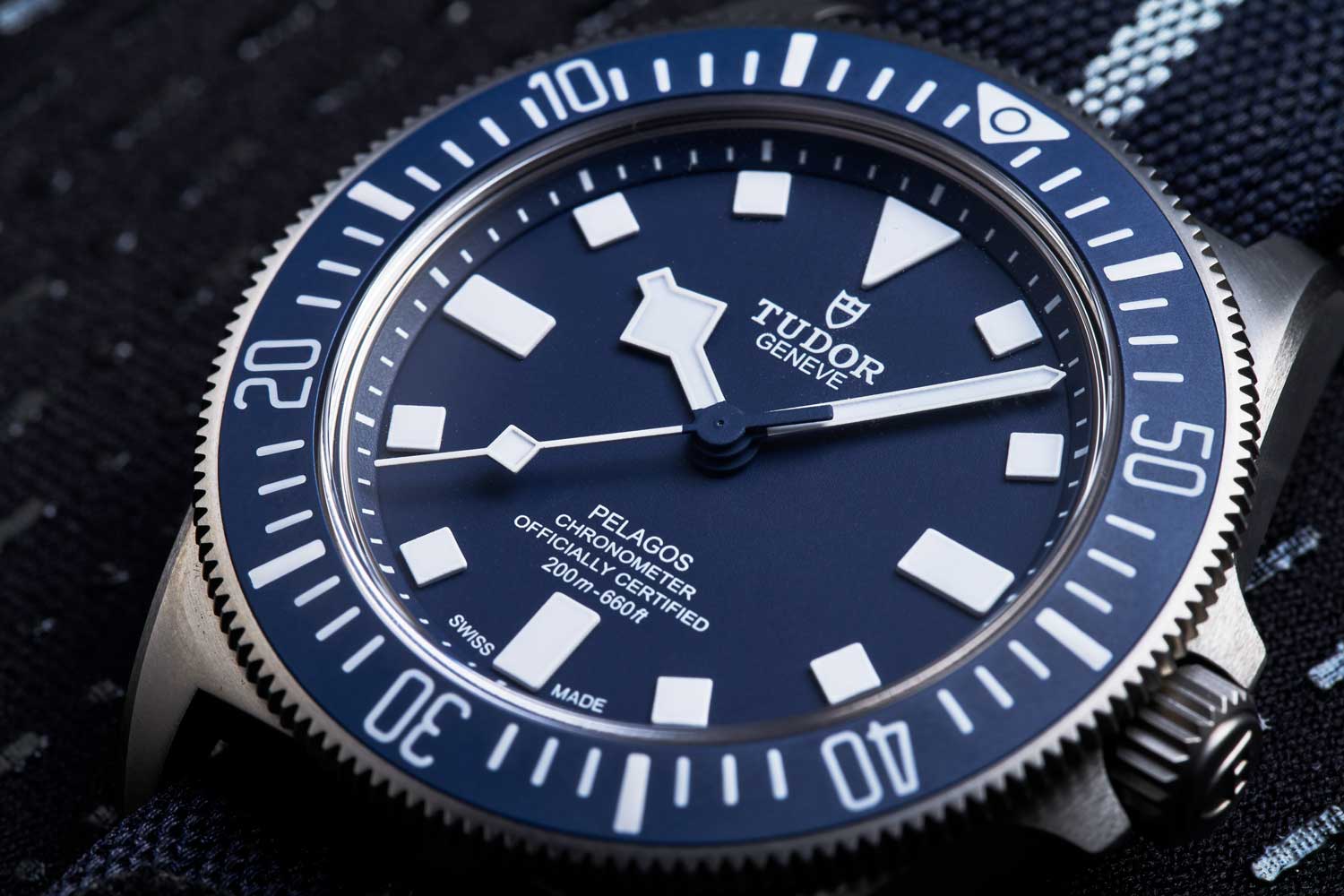 Rev-Pelagos-2.jpeg