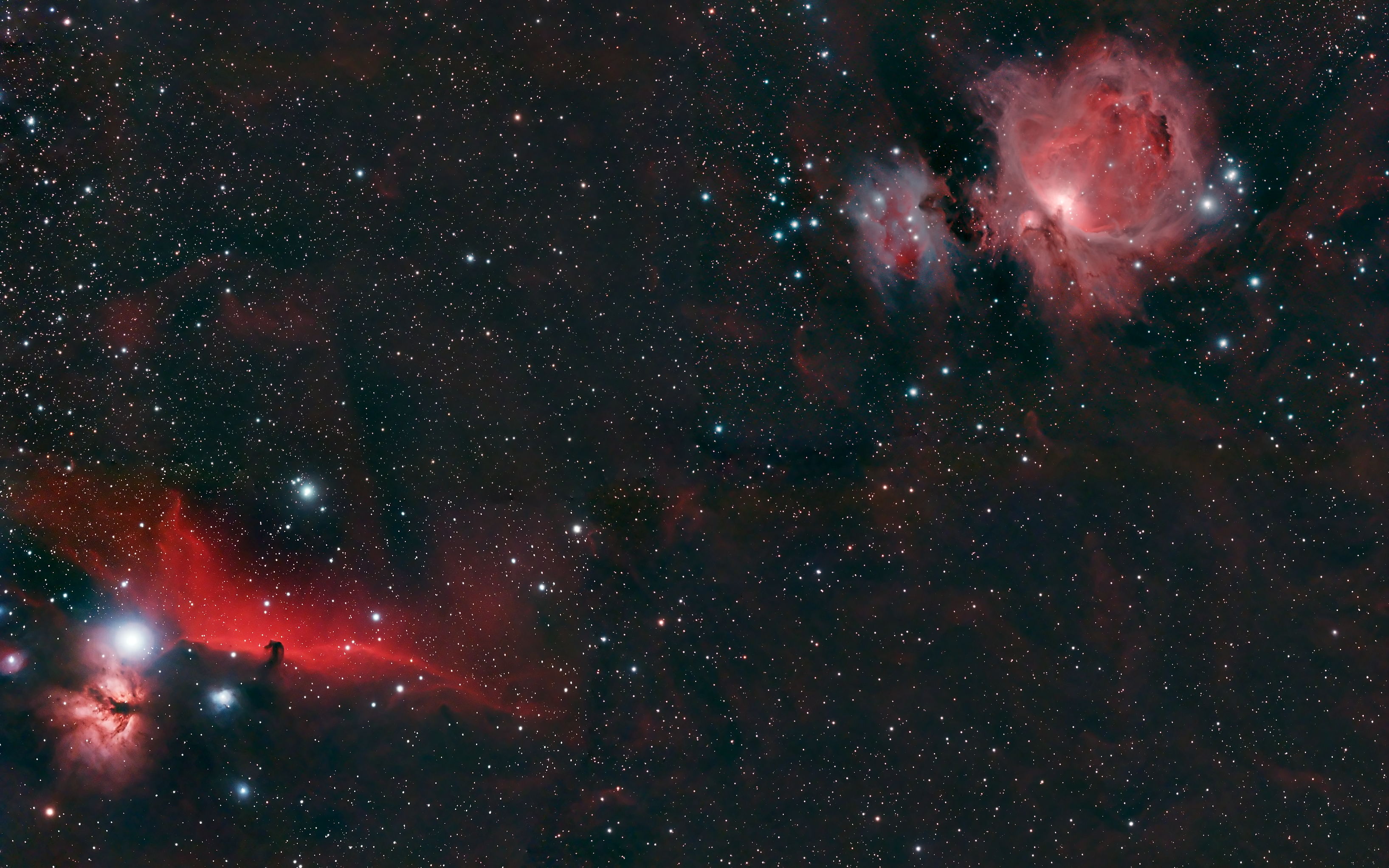 horseheadorion_martin_big.jpg