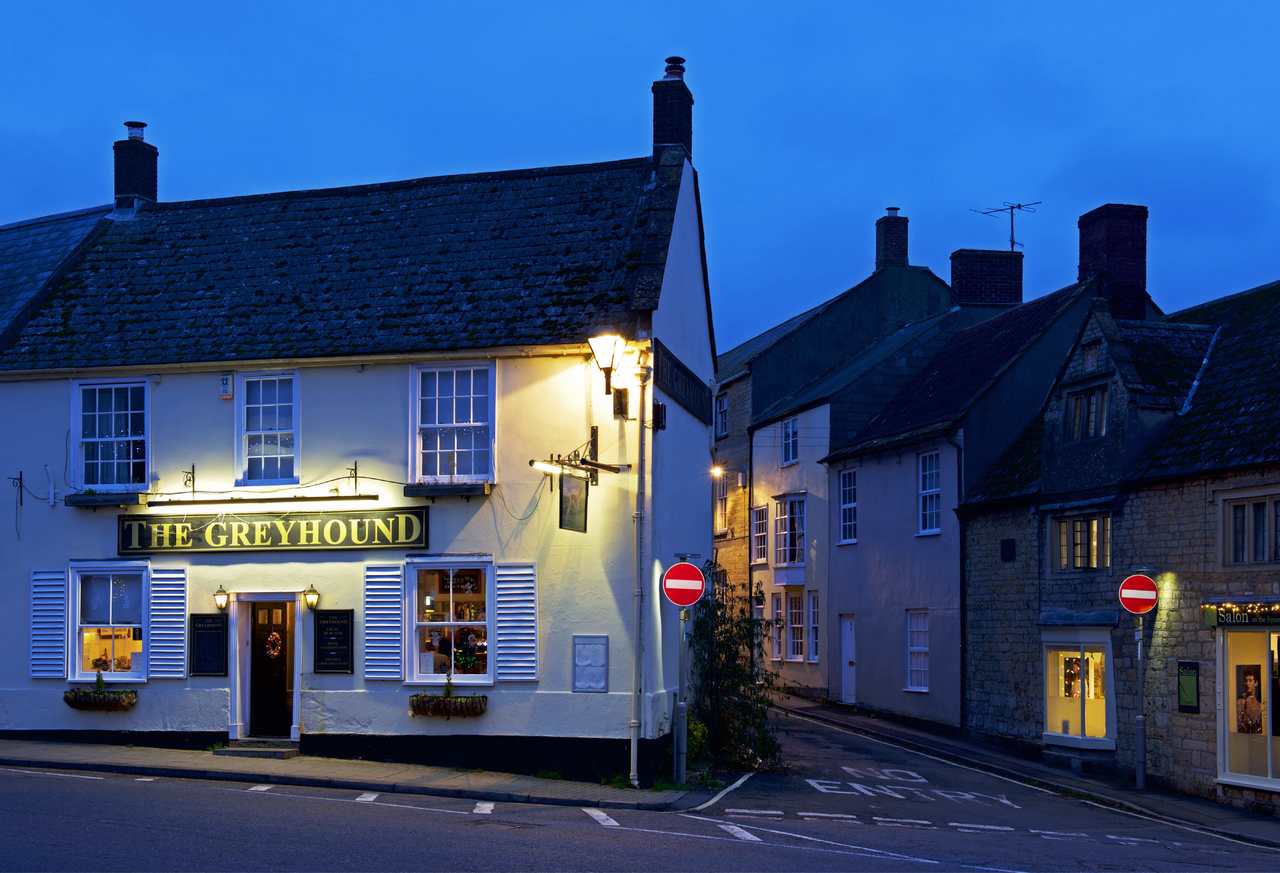 greyhound2_beaminster.jpg