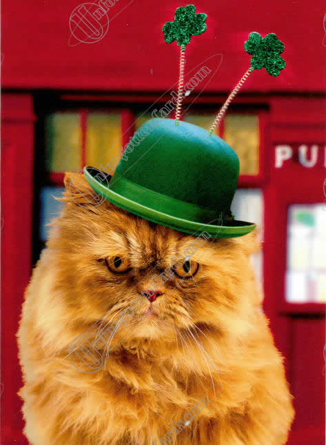 st-patricks-cat.jpg