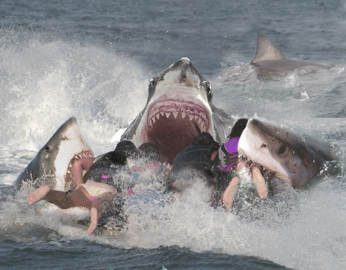 shark_feeding_frenzy_by_eylk341-d5grr3k.jpg