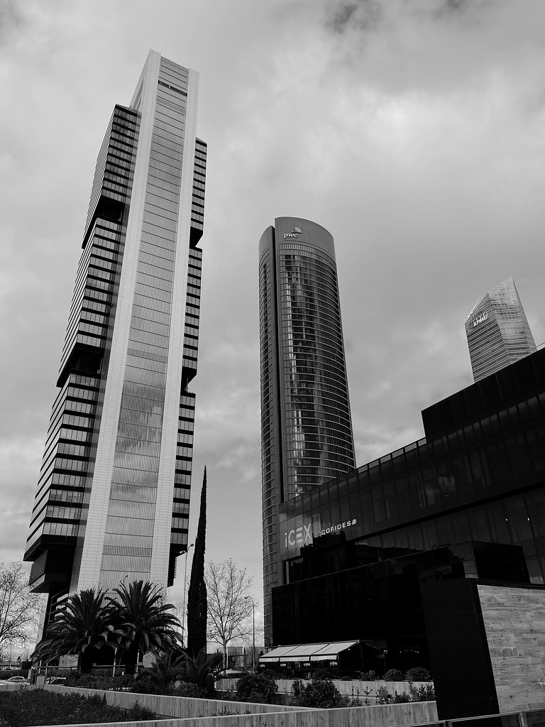 50809858741_4c52ae9714_b.jpg