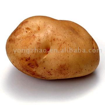 Potato.jpg