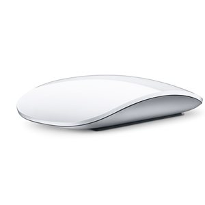 1259096130_apple-magic-mouse_1.jpg