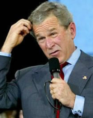 dumbass-bush.jpg