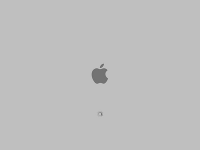 AppleBootScreen.png