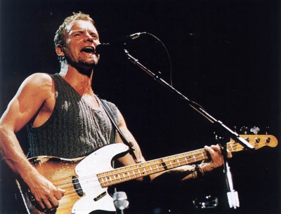 sting-400x305.jpg