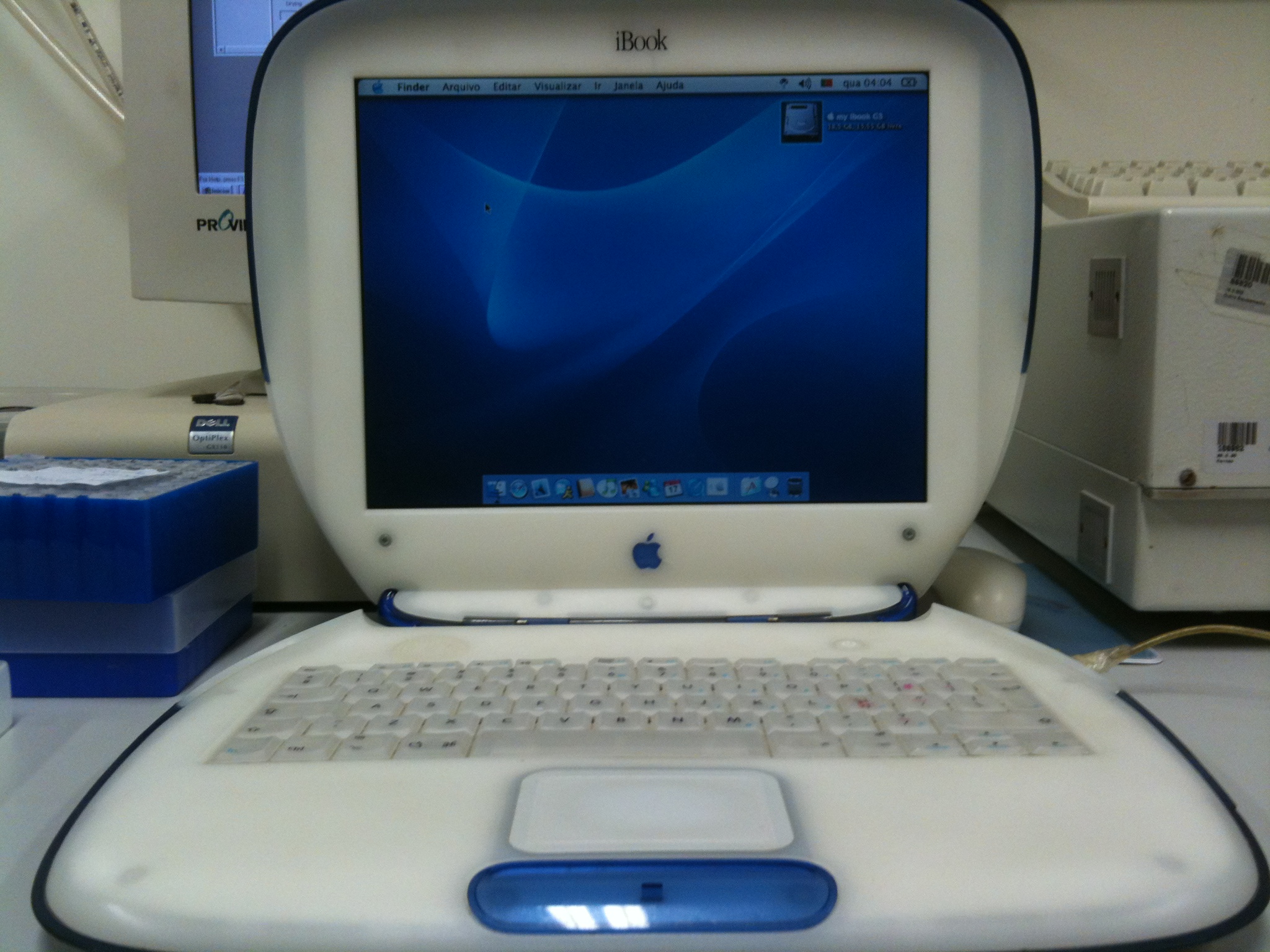 img0131aux.jpg
