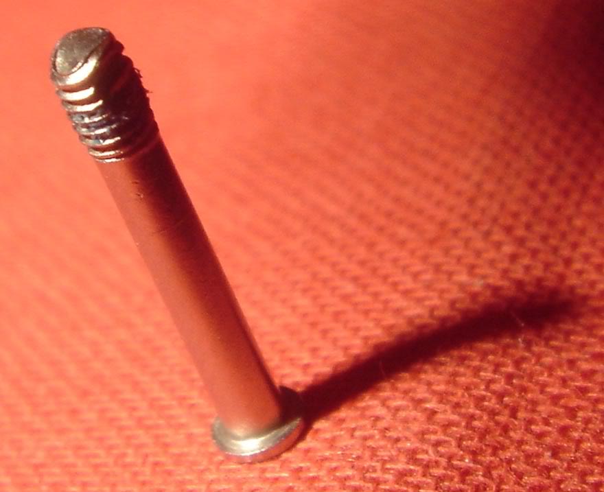 DSC09990.jpg
