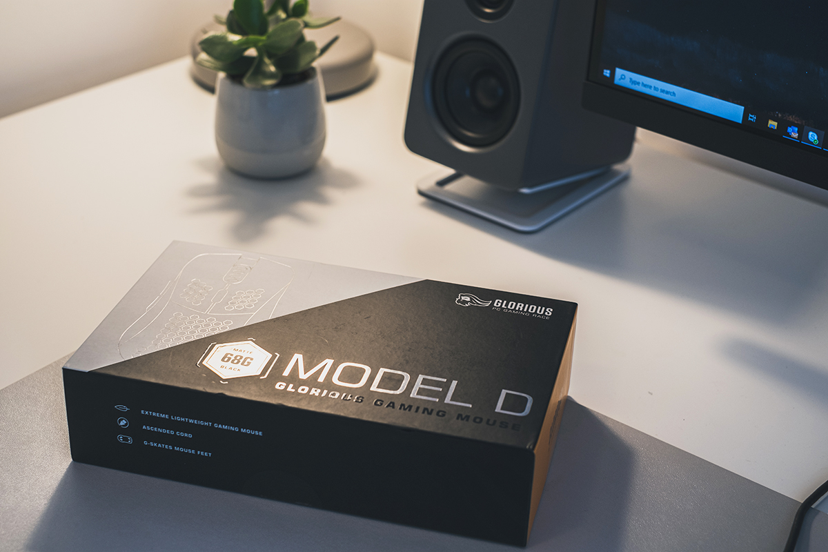 model_d-02.jpg