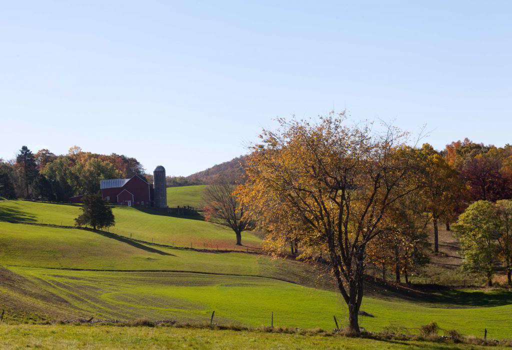 barn1crop812c.jpg